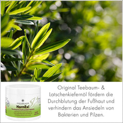HornEx! Hornhaut und Schrunden Balsam mit 25% Urea
