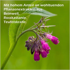 Beinwell Balsam (beinwellsalbe) - CristinenMoor