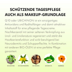 Q10 Balsam mit Nachtkerzenöl und Arganöl - Naturkosmetik - CristinenMoor
